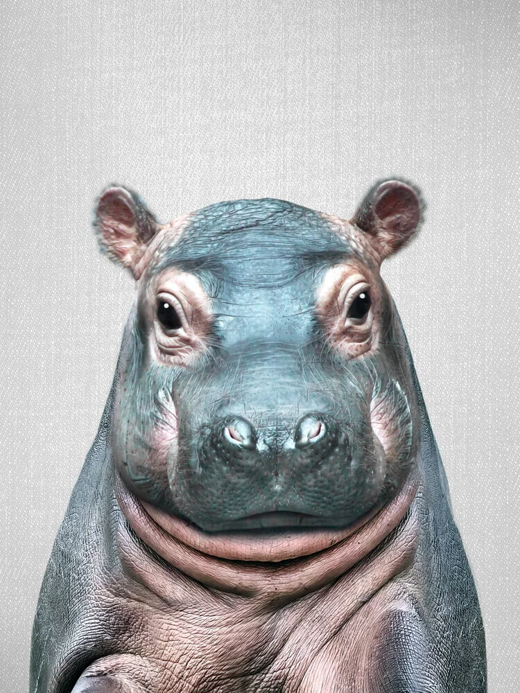 Baby Hippo - fotokunst von Gal Pittel