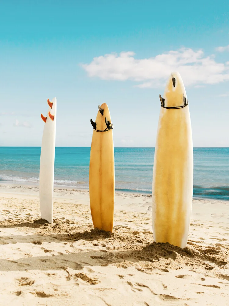 Malibu Surfboards - fotokunst von Gal Pittel
