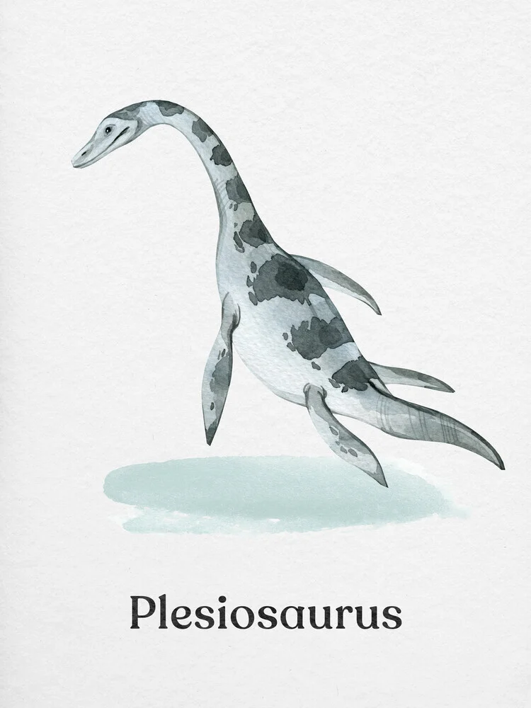 Plesiosaurus - Fineart photography by Gal Pittel