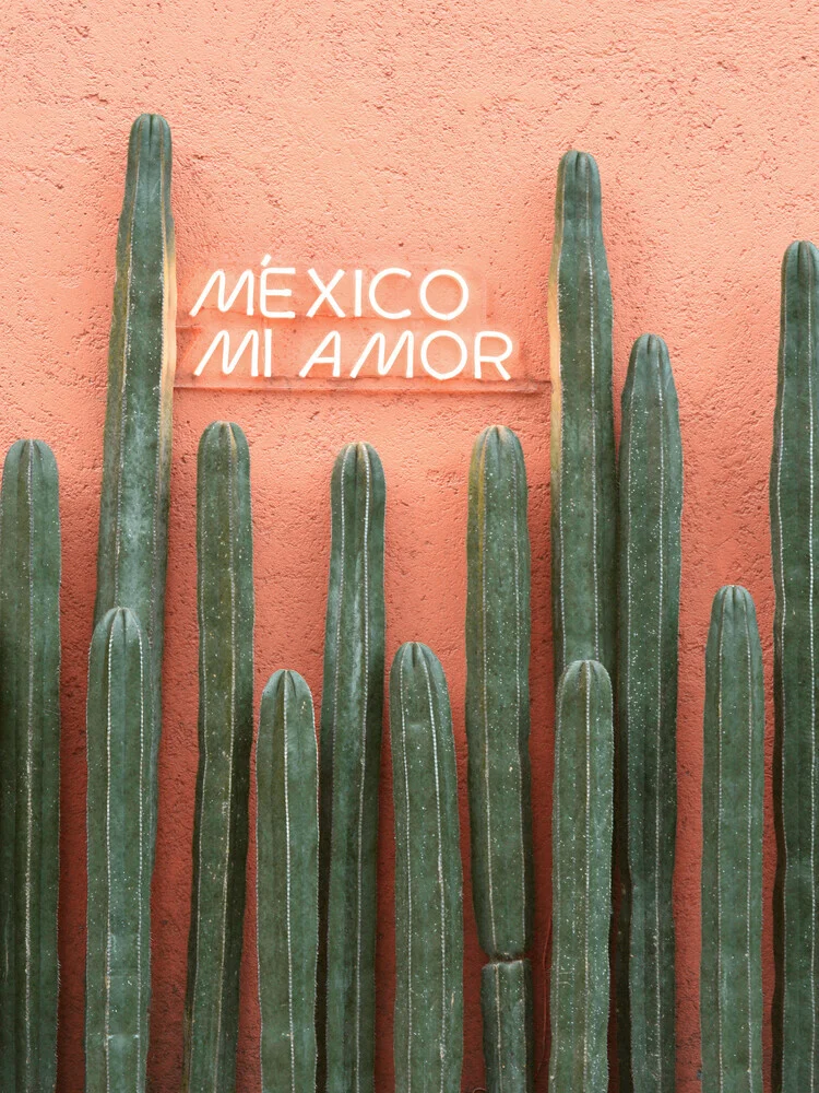 Mexico Mi Amor - fotokunst von Gal Pittel