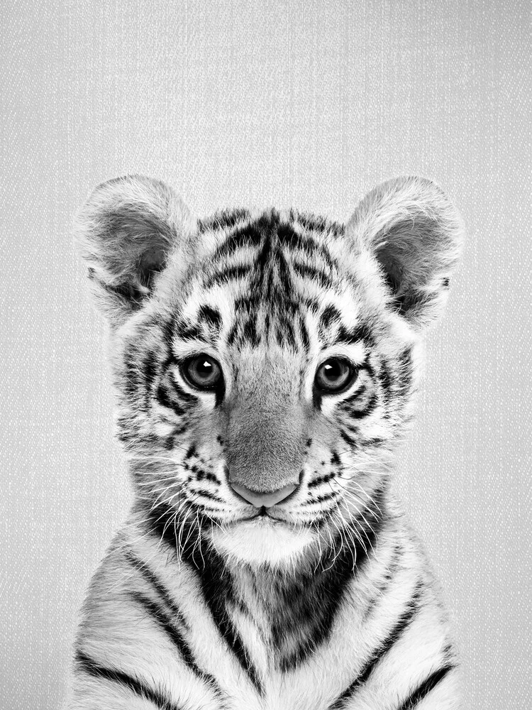 Baby Tiger - Black & White - Fineart photography by Gal Pittel