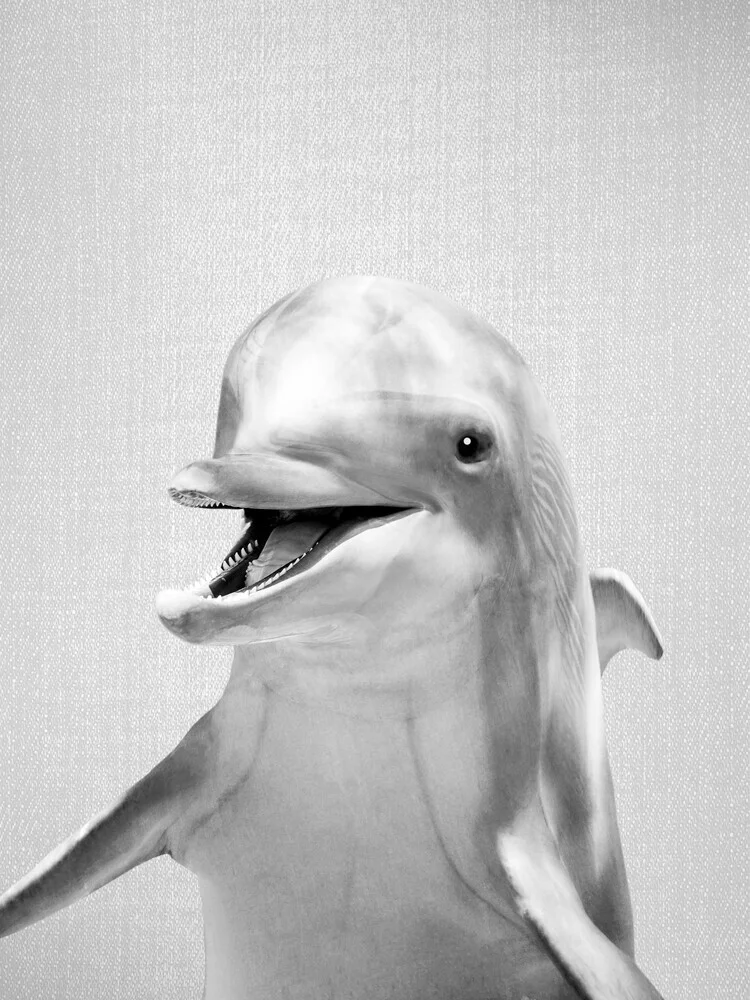 Dolphin - Black & White - fotokunst von Gal Pittel