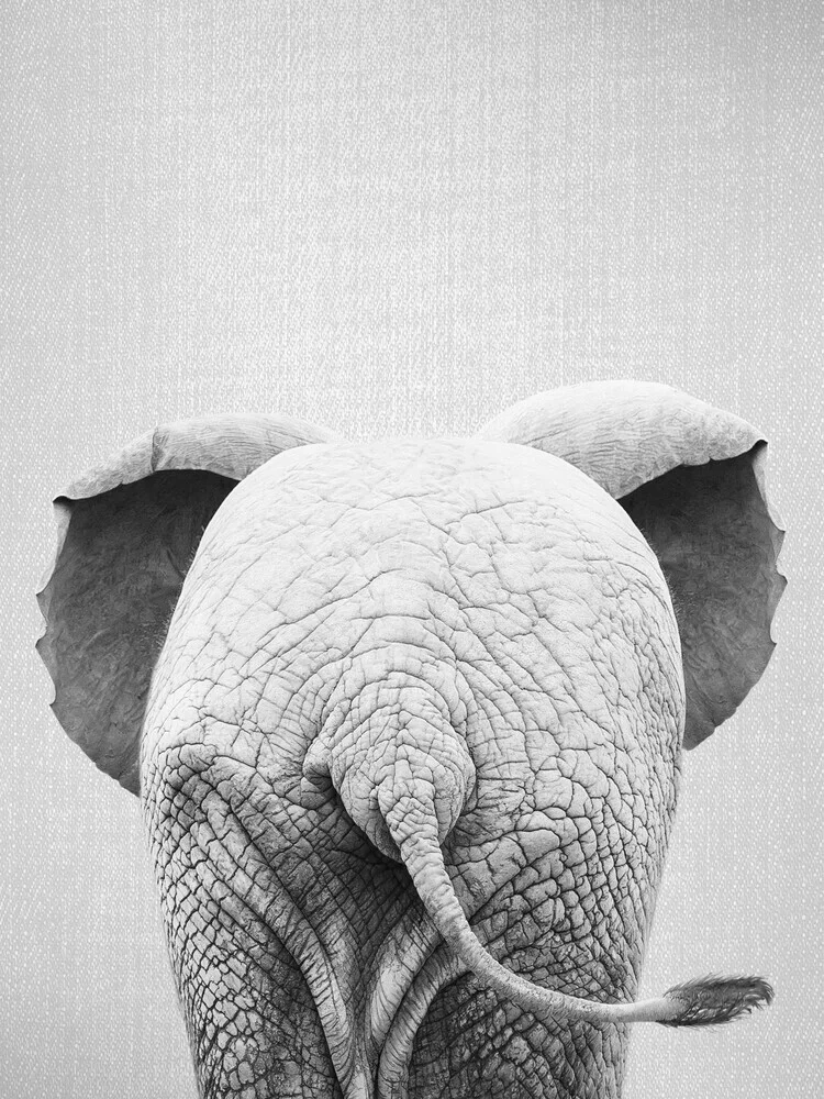 Baby Elephant Tail - Black & White - fotokunst von Gal Pittel