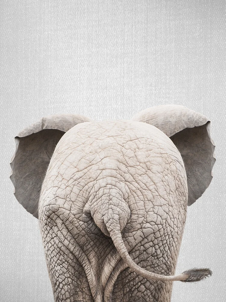 Baby Elephant Tail - fotokunst von Gal Pittel