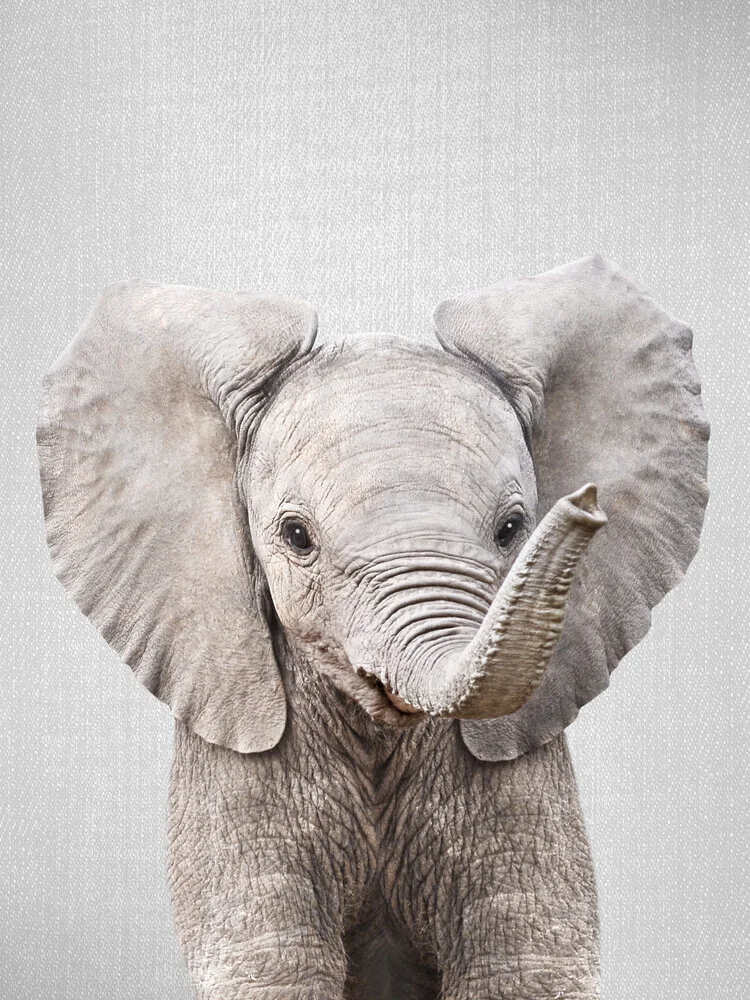 Baby Elephant - fotokunst von Gal Pittel