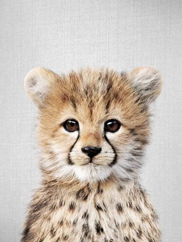 Baby Cheetah - fotokunst von Gal Pittel