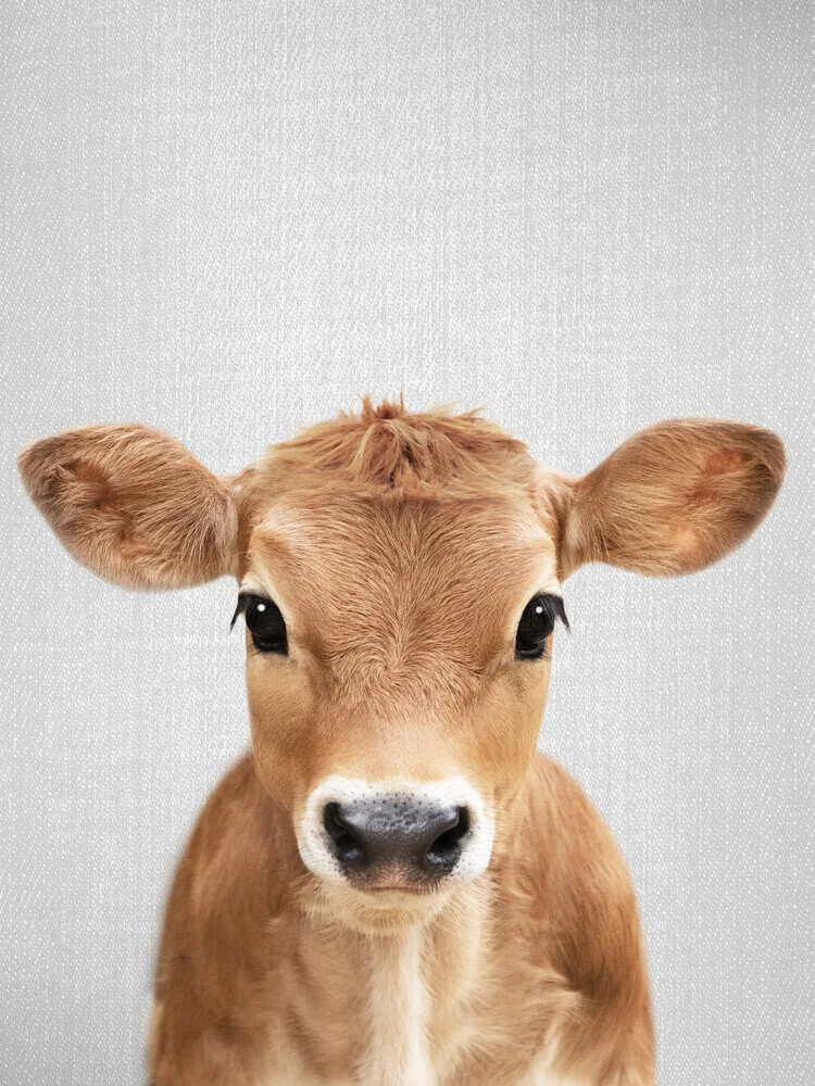 Calf - fotokunst von Gal Pittel