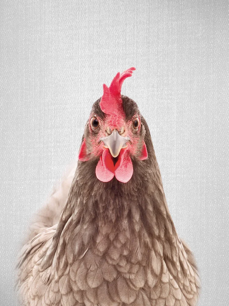 Chicken - fotokunst von Gal Pittel
