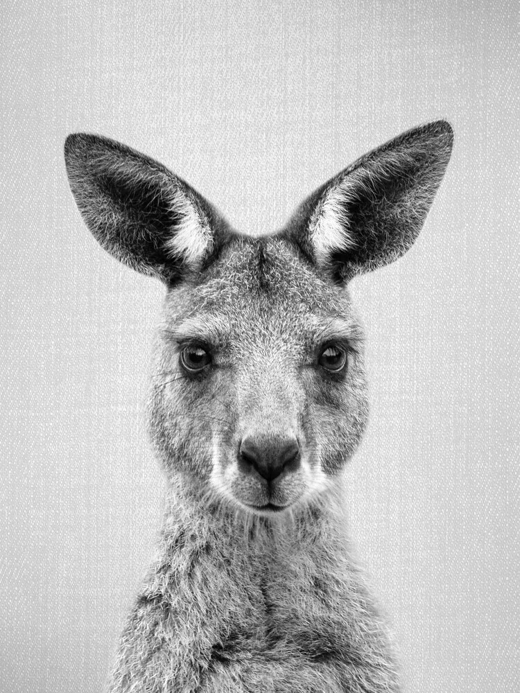 Kangaroo - Black & White, Israel – wall art by Gal Pittel as Poster or Acrylic Glass Print
