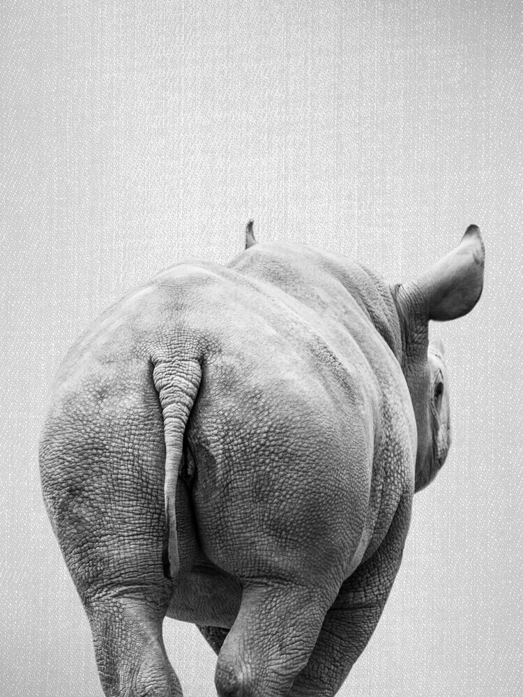 Rhino Tail - Black & White - fotokunst von Gal Pittel