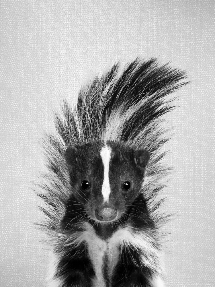 Skunk - Black & White - fotokunst von Gal Pittel