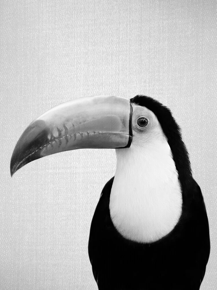 Toucan - Black & White - fotokunst von Gal Pittel