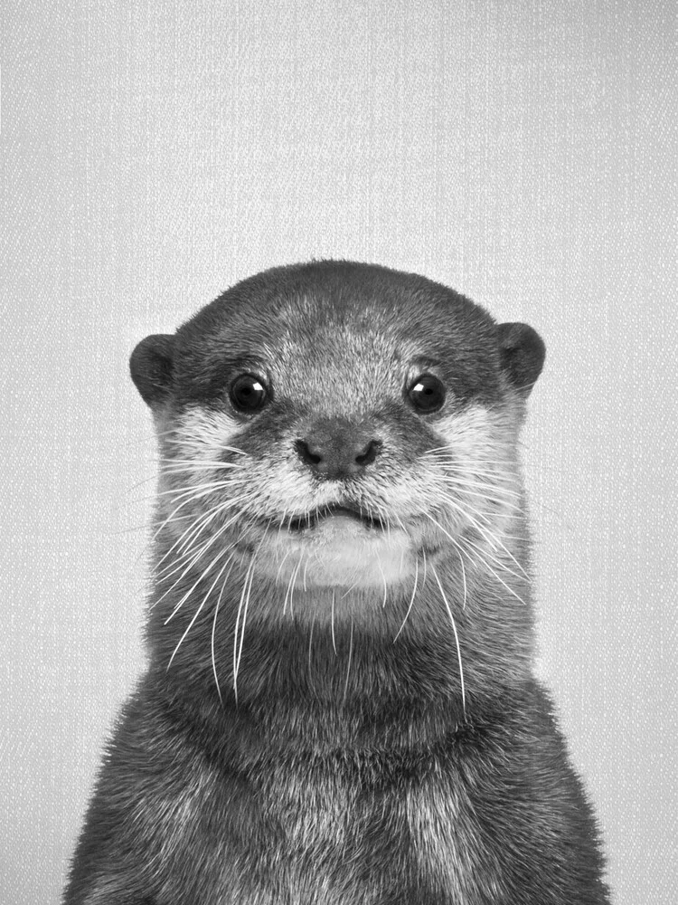 Otter - Black & White - fotokunst von Gal Pittel