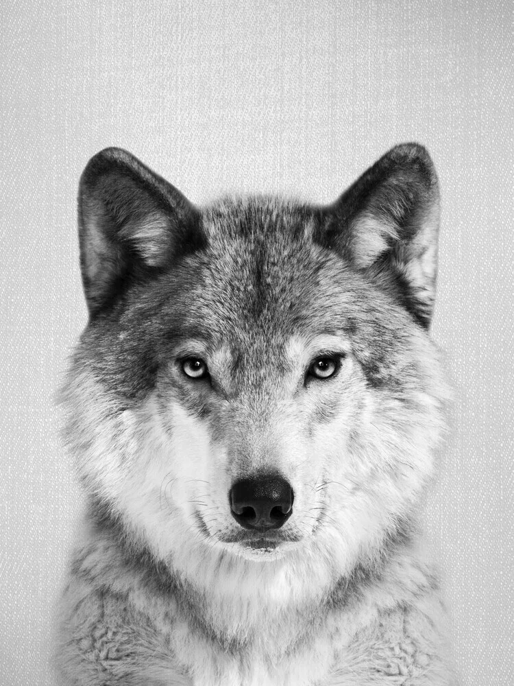 Wolf - Black & White - fotokunst von Gal Pittel