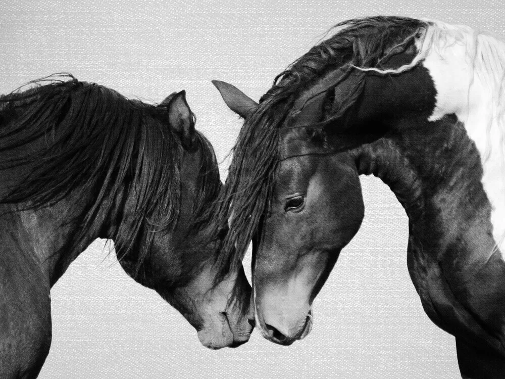 Horses - Black & White - fotokunst von Gal Pittel