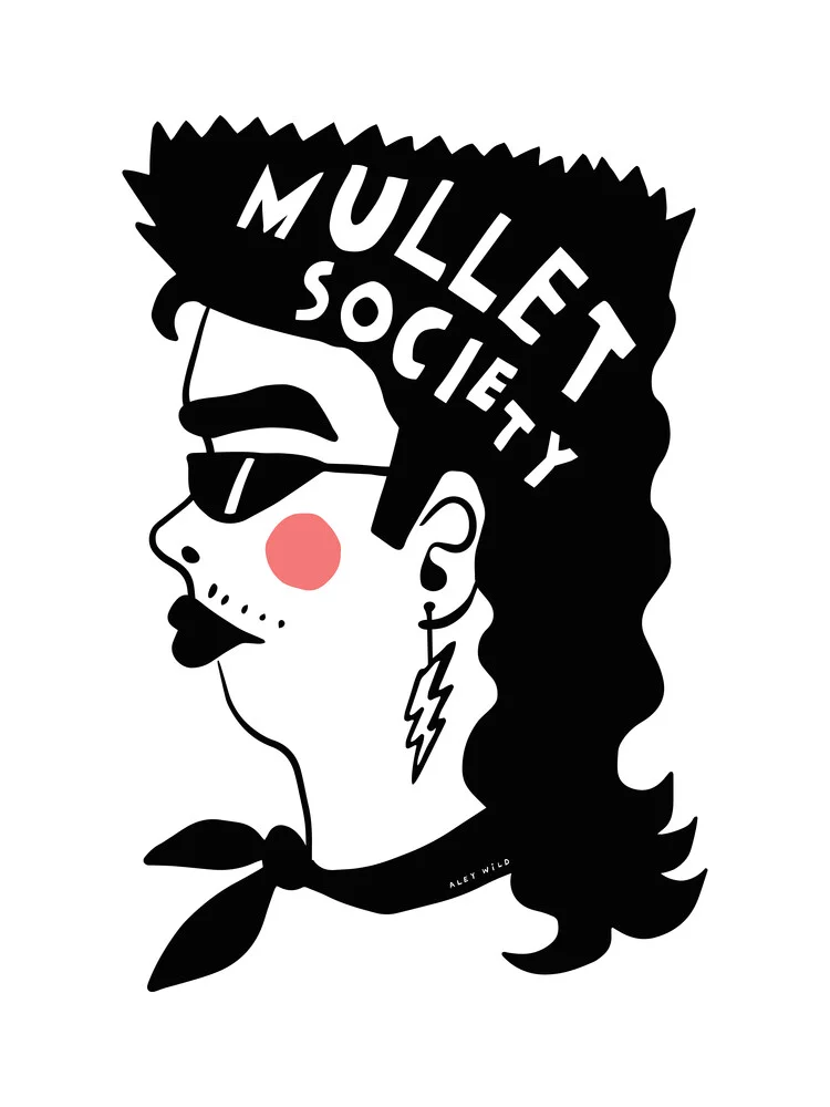 Mullet Society - fotokunst von Aley Wild
