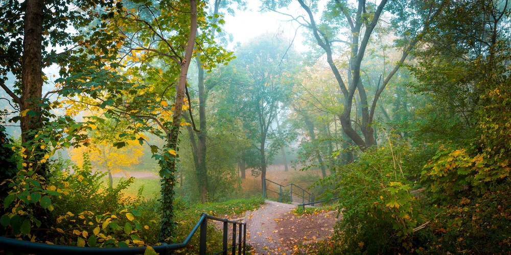 Herbst im Park - fotokunst von Martin Wasilewski