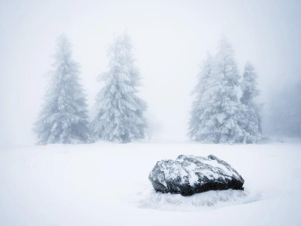 Frostiger Morgen - fotokunst von Heiko Gerlicher