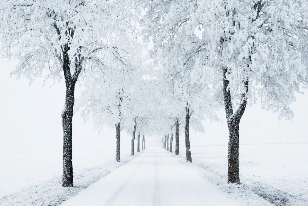 Winterallee - fotokunst von Heiko Gerlicher