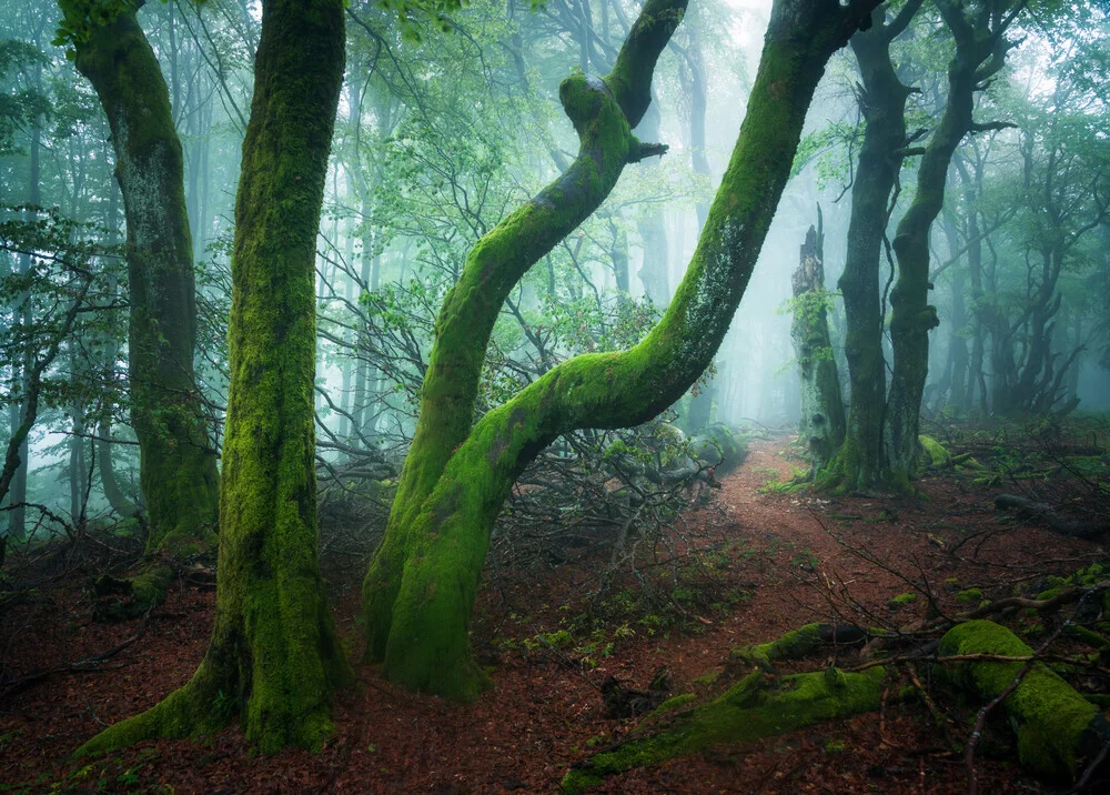 Waldgestalten X - fotokunst von Heiko Gerlicher