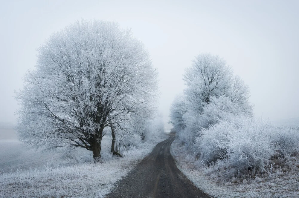 Winter way - Fineart photography by Heiko Gerlicher