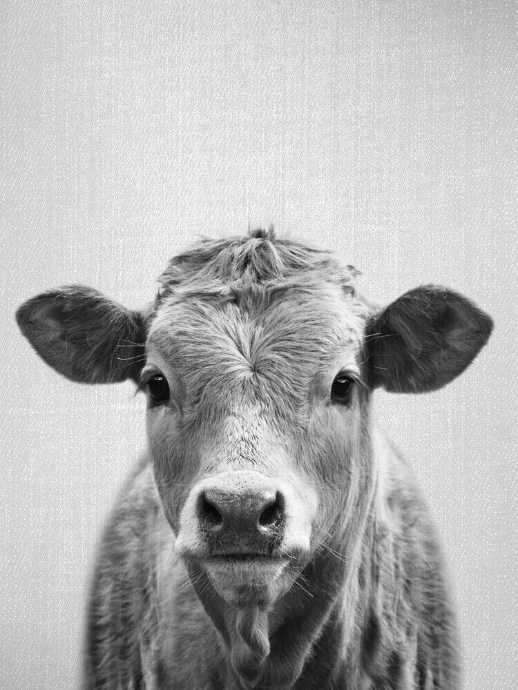 Cow - Black & White - fotokunst von Gal Pittel