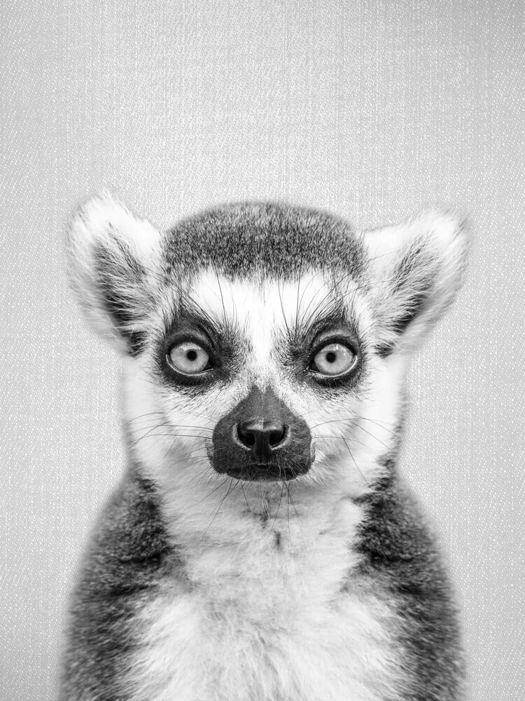 Lemur - Black & White - fotokunst von Gal Pittel
