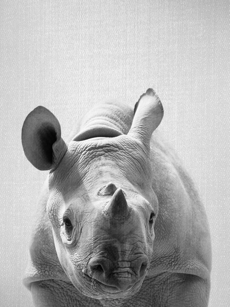 Baby Rhino - Black & White - fotokunst von Gal Pittel