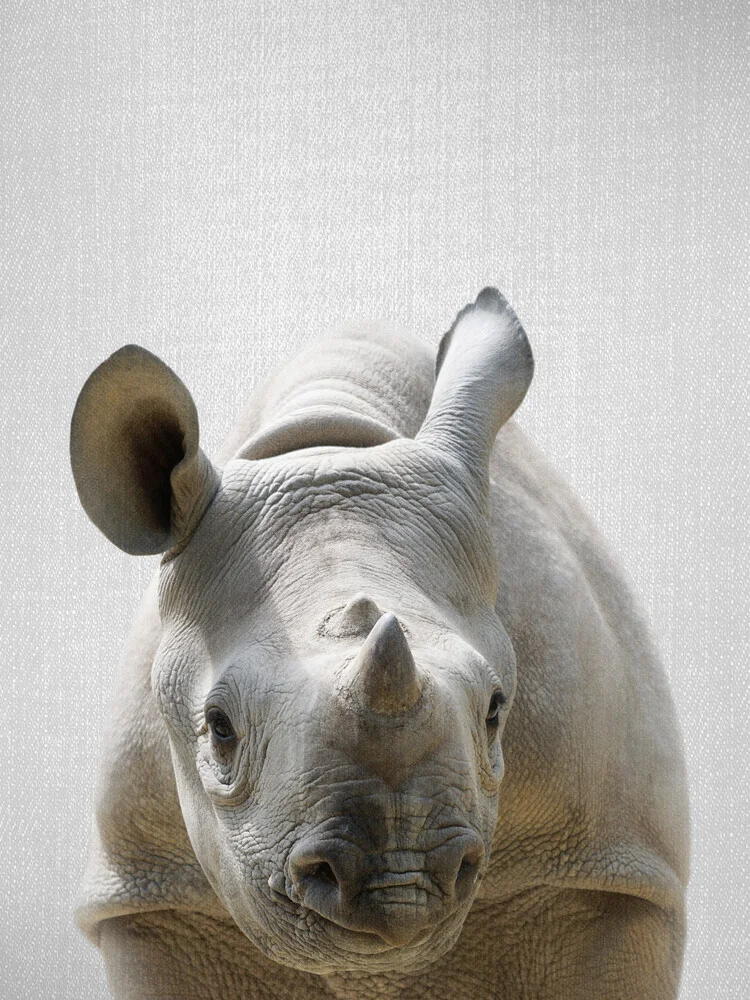 Baby Rhino - fotokunst von Gal Pittel