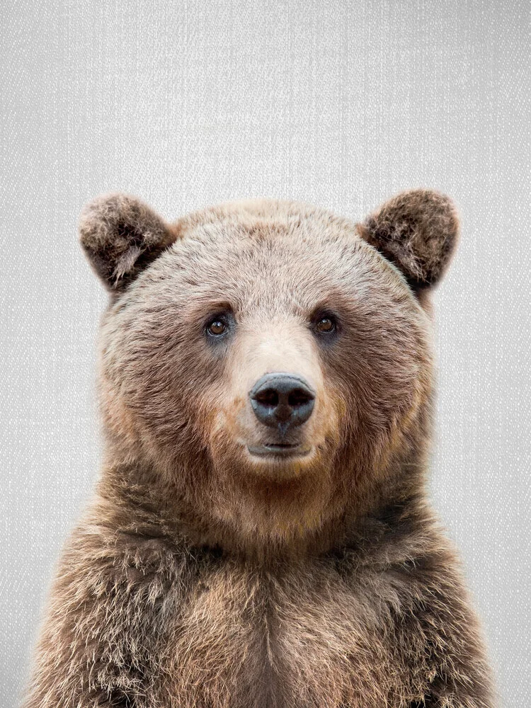 Grizzly Bear - fotokunst von Gal Pittel
