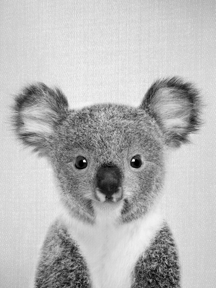 Baby Koala - Black & White - fotokunst von Gal Pittel