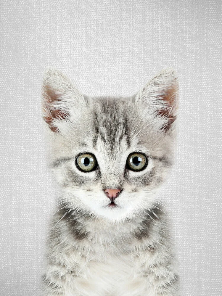 Kitten - fotokunst von Gal Pittel