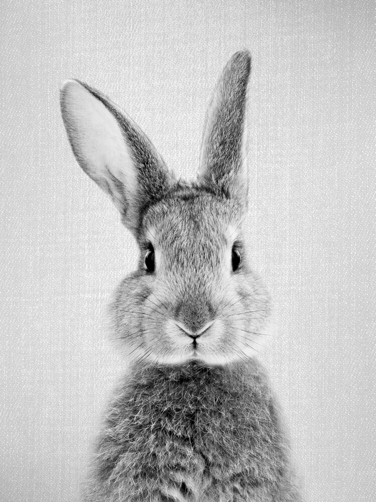 Rabbit - Black & White - fotokunst von Gal Pittel