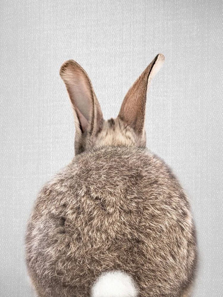 Rabbit Tail - fotokunst von Gal Pittel