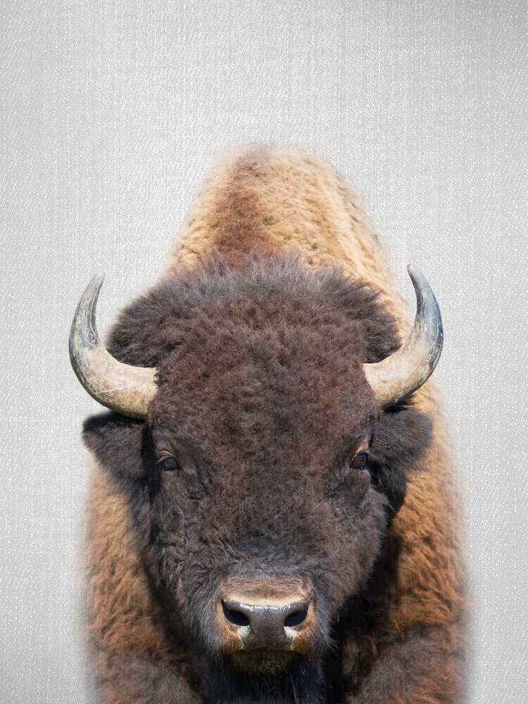 Buffalo - fotokunst von Gal Pittel