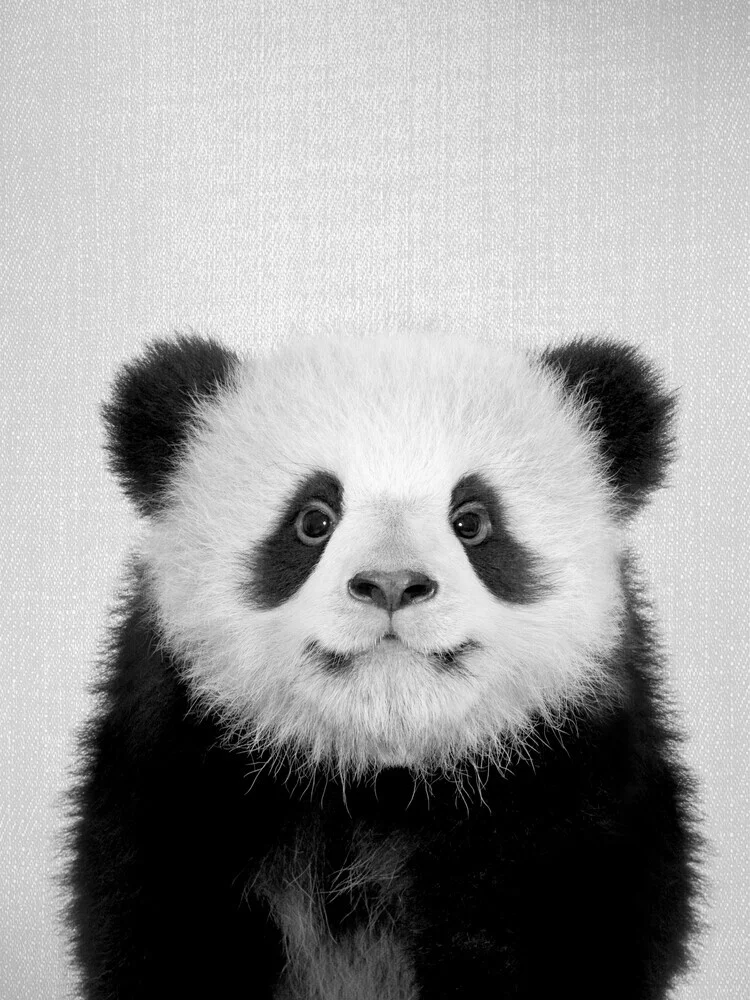 Baby Panda Bear - Black & White - fotokunst von Gal Pittel