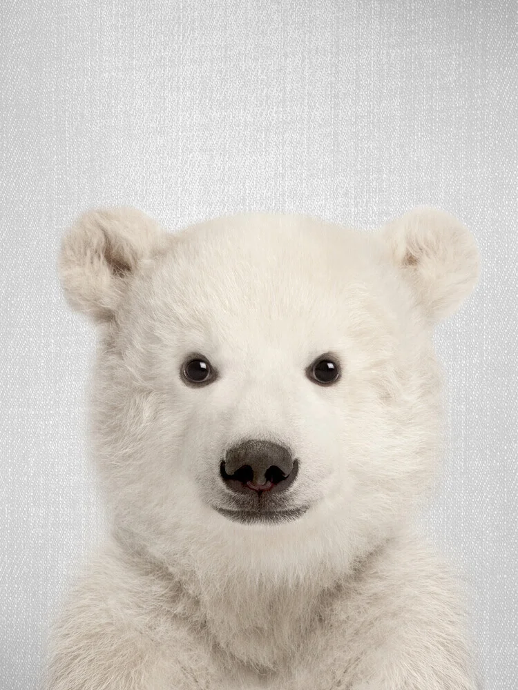 Baby Polar Bear - fotokunst von Gal Pittel