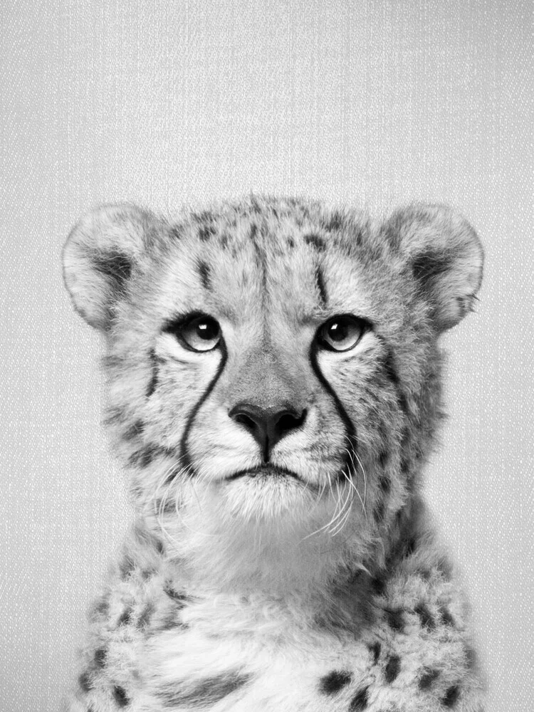 Cheetah - Black & White - fotokunst von Gal Pittel