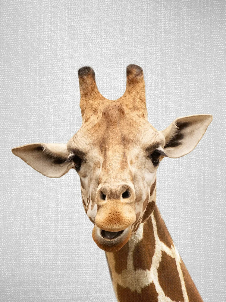Giraffe - fotokunst von Gal Pittel