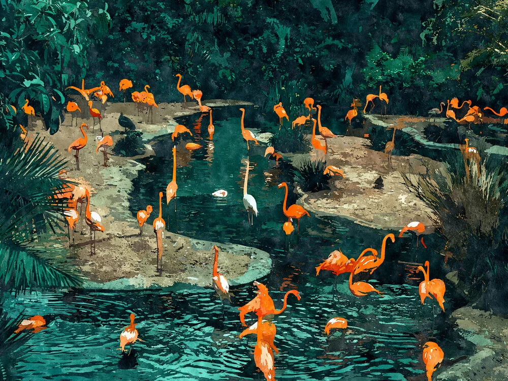 Flamingo Creek - Fineart photography by Uma Gokhale