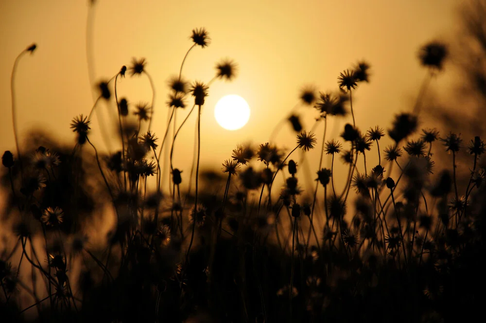 The beginning of a new day - Fineart photography by Sankar Sarkar