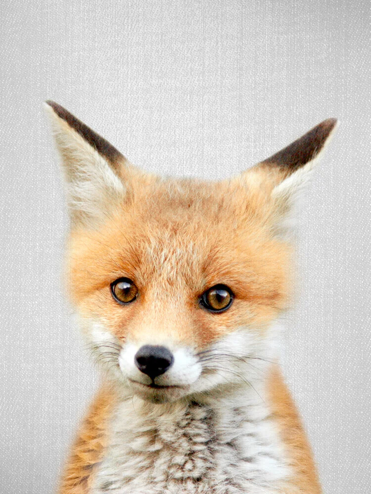 Baby Fox - fotokunst von Gal Pittel