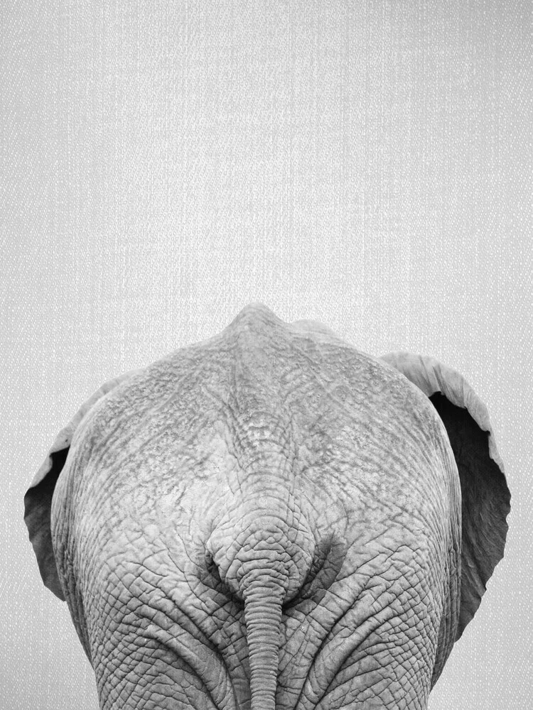 Elephant Tail - Black & White - fotokunst von Gal Pittel
