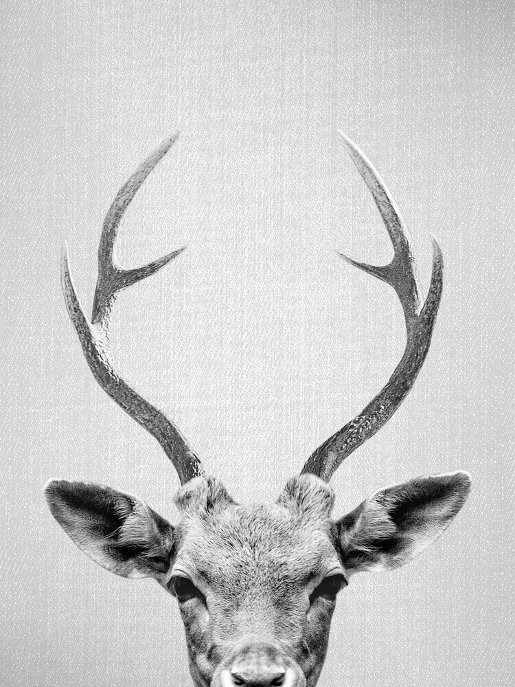 Deer - Black & White - Fineart photography by Gal Pittel