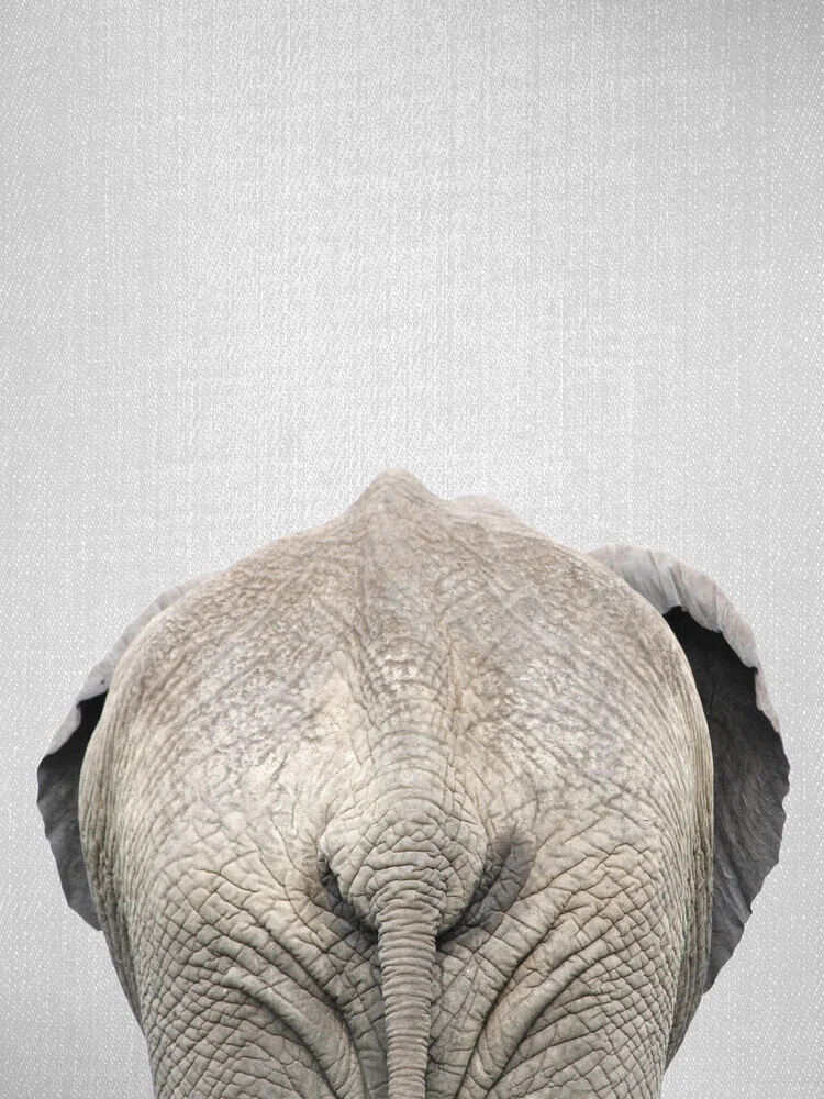 Elephant Tail - fotokunst von Gal Pittel