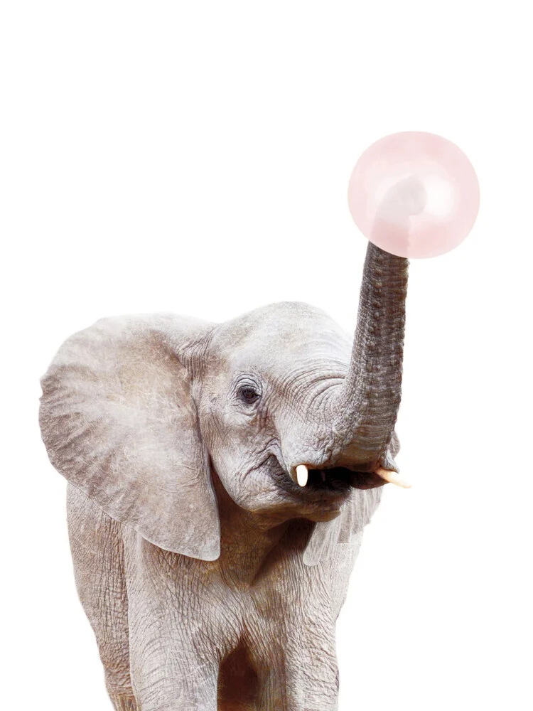 Bubble Gum Elephant - fotokunst von Kathrin Pienaar