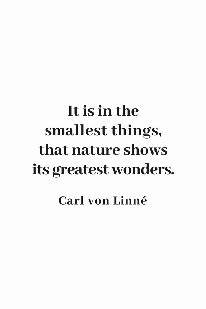 In the smallest things nature shows its greatest wonders - fotokunst von Typo Art