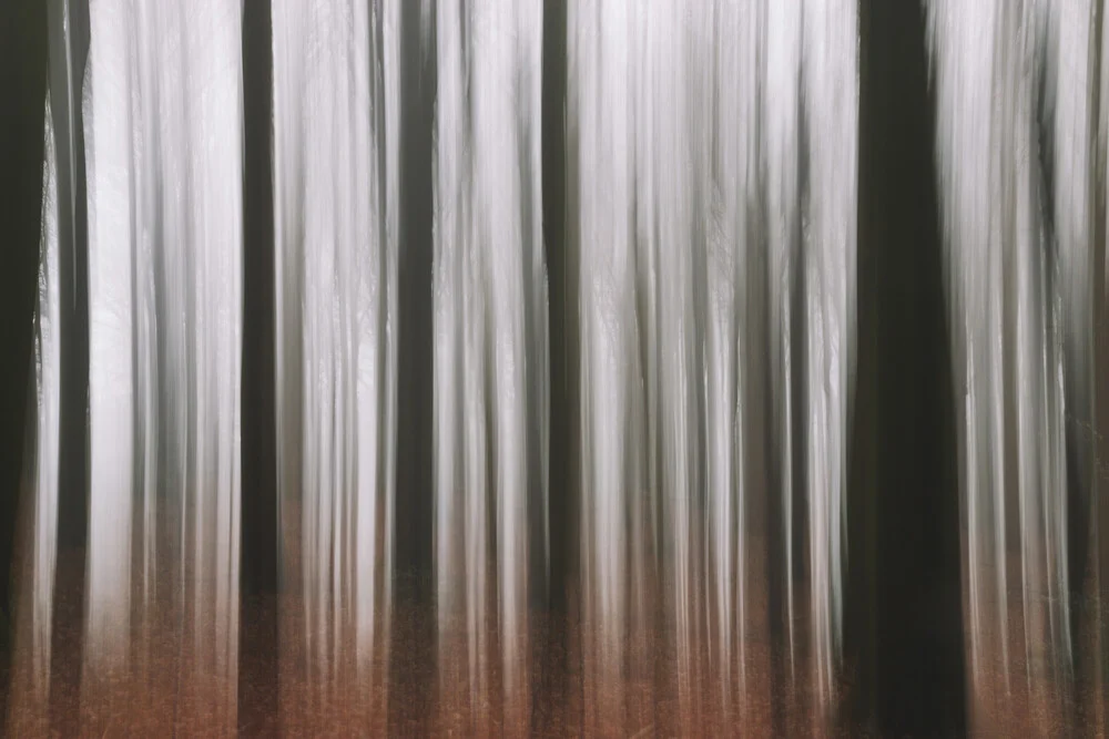 Blurred winter forest - Fineart photography by Nadja Jacke