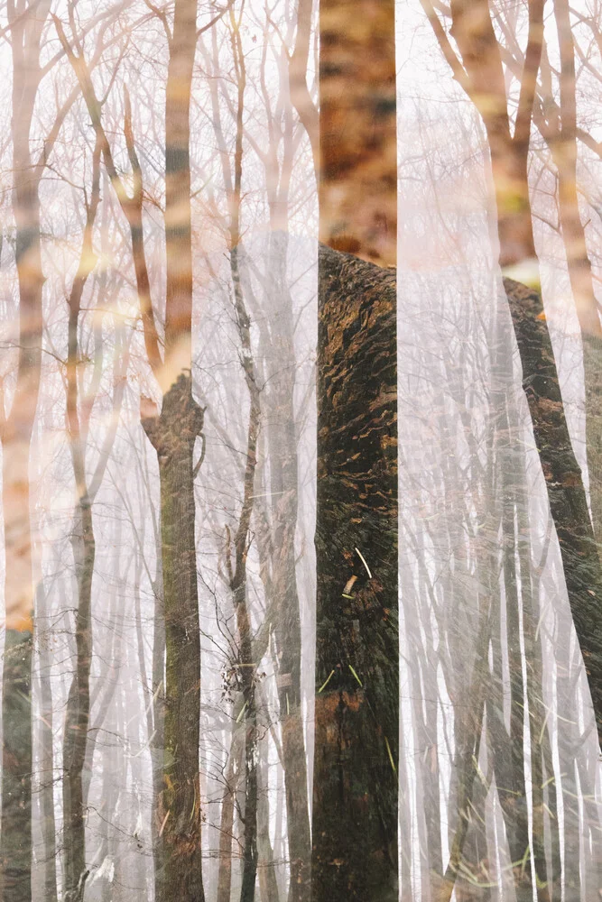 Winterwald Doppelbelichtung - fotokunst von Nadja Jacke