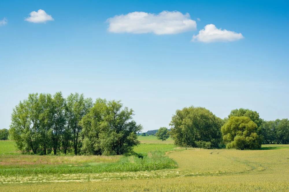 Ländliche Idylle auf Usedom - fotokunst von Martin Wasilewski